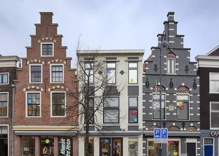 The Painters Loft Sleeping Among The Art